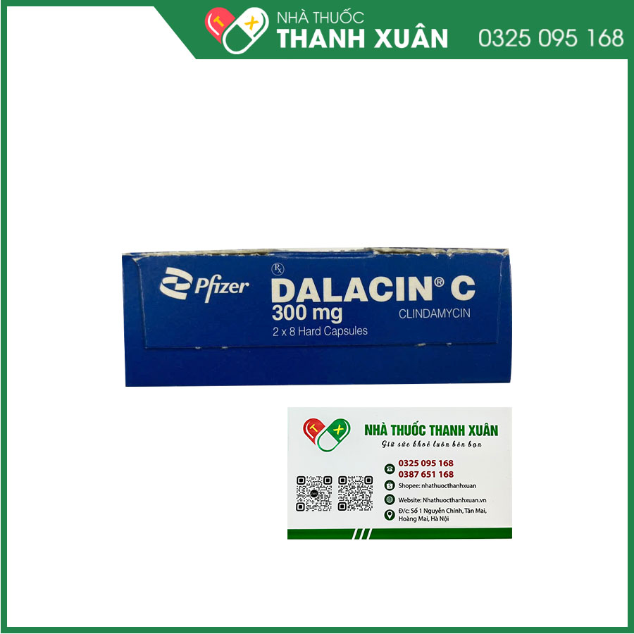 Dalacin C 300mg thuốc kháng sinh điều trị nhiễm khuẩn